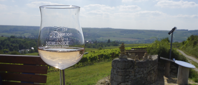 Foto von Glas im Weinberg