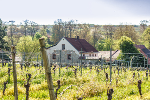 M�hlenhof heute aus dem Weinberg