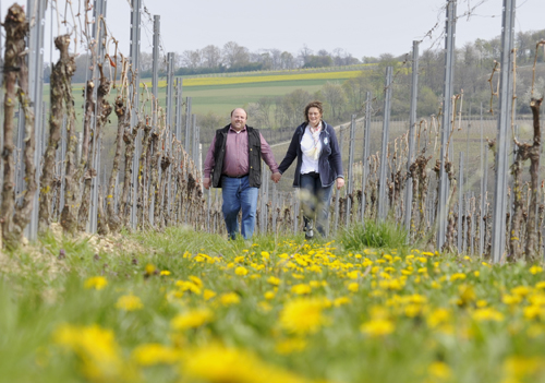 Winzerehepaar spaziert durch die Reben